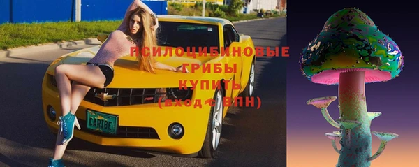прущий лед Бородино