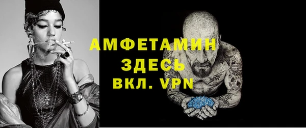 прущий лед Бородино