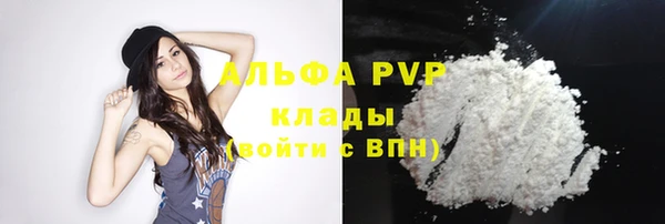 прущий лед Бородино