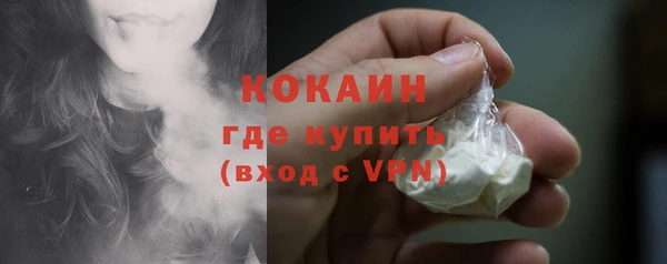 прущий лед Бородино