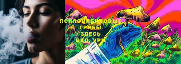 молекула духа Бугульма