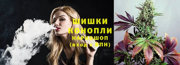 молекула духа Бугульма