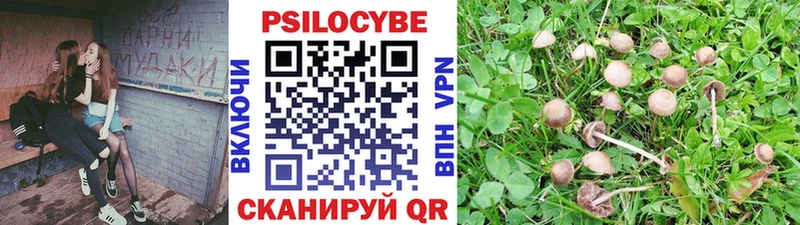 Псилоцибиновые грибы Magic Shrooms  МЕГА ONION  Мариинск 
