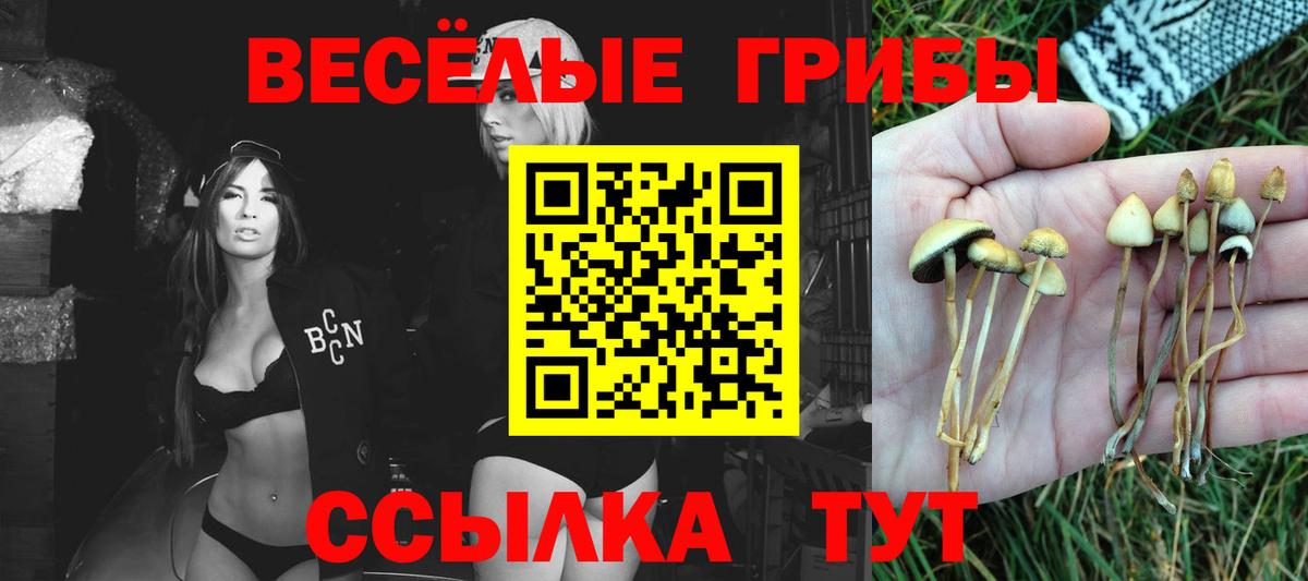 Псилоцибиновые грибы ЛСД  что такое наркотик  Мариинск  Вход с VPN 