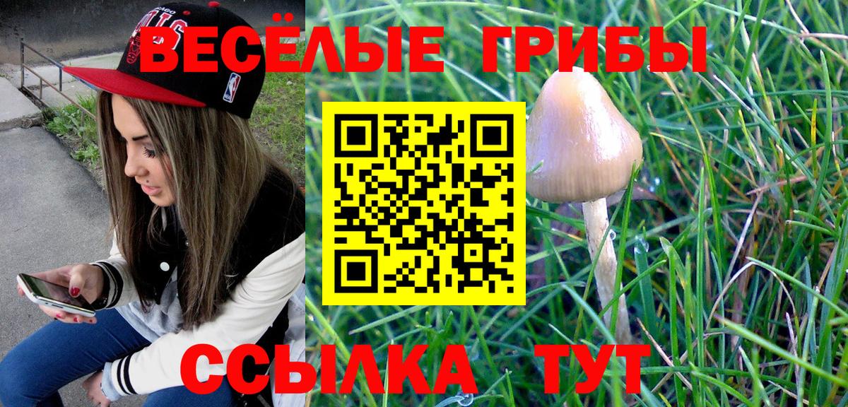 Галлюциногенные грибы мухоморы Мариинск