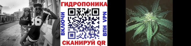 Шишки марихуана сатива Мариинск